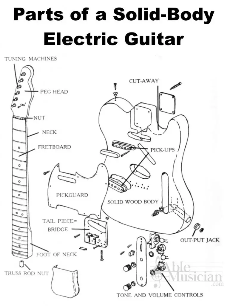 Parts of an Electric Guitar, SolidBody & HollowBody