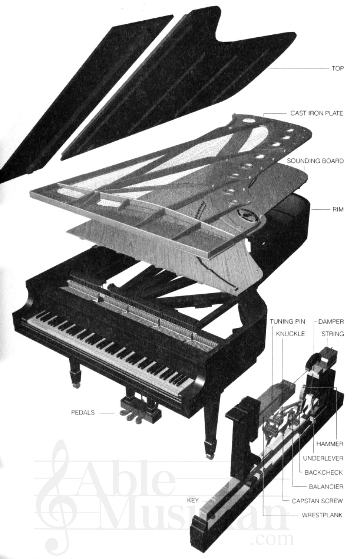 piano inside diagram